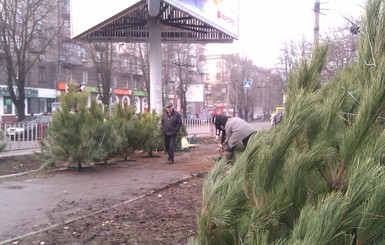 В Днепропетровске пропали елки