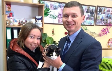 Харьковский чиновник подарил себе к новому году кота
