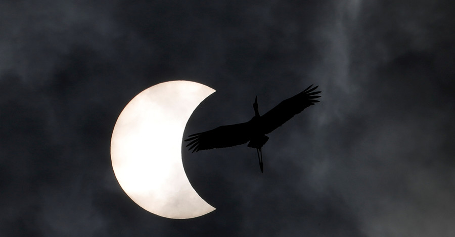 Последнее солнечное затмение 2019 года