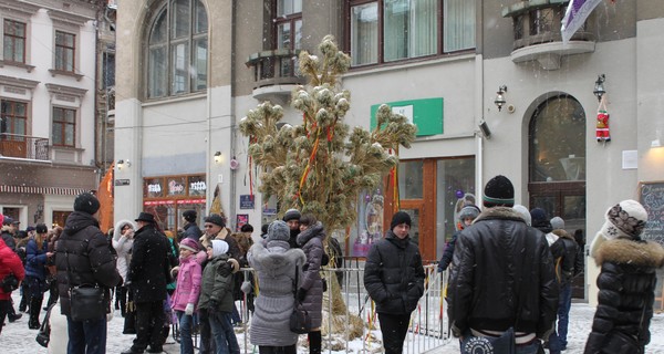 Во Львове установили гигантский рождественский дидух