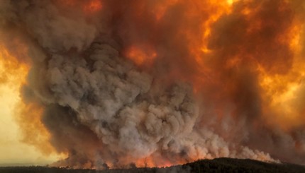 Лесные пожары уничтожают Австралию