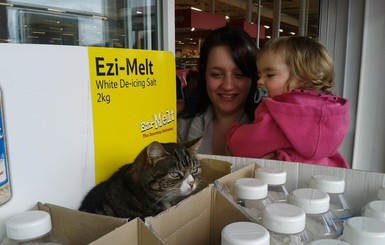 В Англии кот четыре года прятался от руководства супермаркета в подсобке