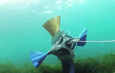 Инженеры создали робота-рыбу