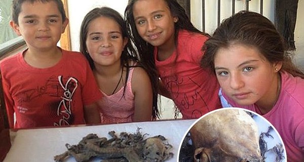 В Чили обнаружили мертвую чупакабру