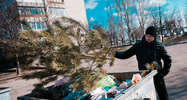 В Запорожье не разрешают бросать елки в мусор  