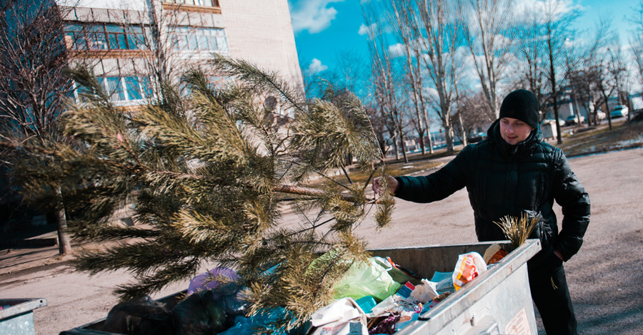 В Запорожье не разрешают бросать елки в мусор  