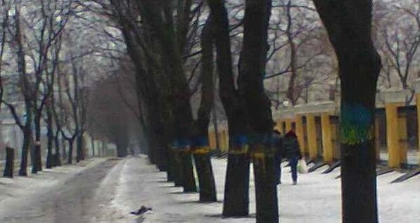 В Донецке тайно покрасили деревья сине-желтой краской  