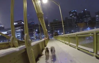 Американец прокатился на собаках по заснеженному Питтсбургу