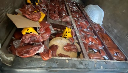 Мужчина пытался провезти в Украину тонны сыра и мяса