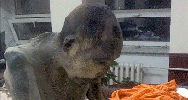 Учены считают, что мумифицированный 200-летний монгольский монах все еще жив