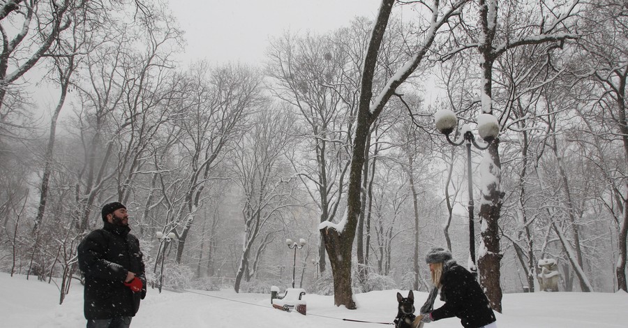 Киевляне о февральском снегопаде: Больше снега – меньше ям!