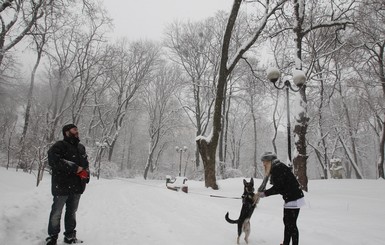 Киевляне о февральском снегопаде: Больше снега – меньше ям!