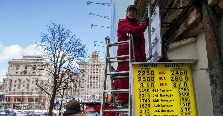 Яценюк рассказал, сколько будет стоить доллар в Украине