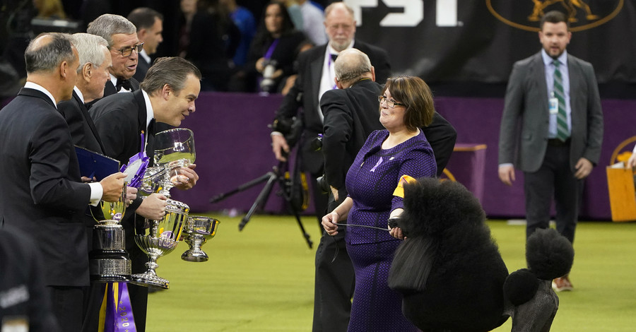 Победитель Вестминстерского Дог-шоу 2020