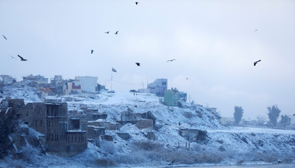 Столицу Ирака впервые за 12 лет накрыл снег