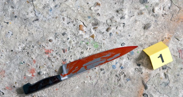 Садист из интернета зверски убил маму и дочку в Луганской области