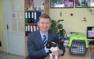 Харьковские кошки вышли в онлайн
