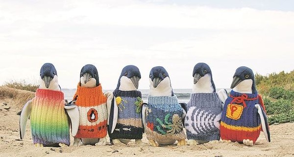 А мы пингвинчики, а нам не холодно...