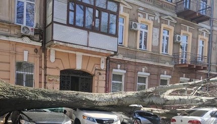 Ураган в Одессе: деревья падают, а крыши уносит