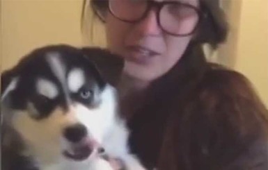 Пользователей интернета покорил болтливый щенок 