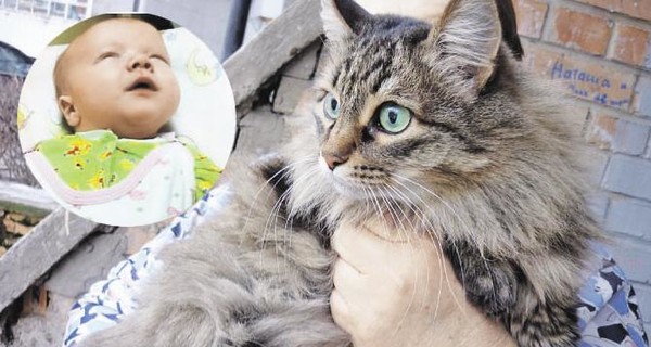 Малыш, спасенный кошкой, обрел приемных родителей