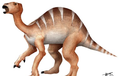Японские ученые обнаружили новый вид динозавра