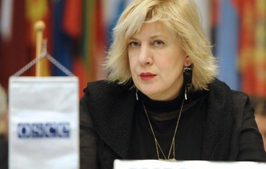 Представитель ОБСЕ по вопросам свободы СМИ проведет мастер-класс для министерства информации 