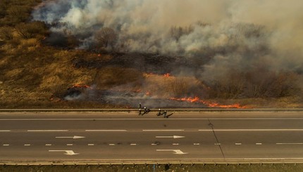 Пожары в Киевской области