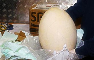 Итальянская полиция поймала мужчину с огромным яйцом