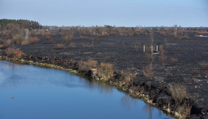 Был красный лес, а теперь черная земля: как выглядит Чернобыль после пожаров 