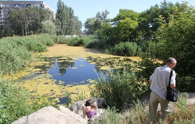 В Киеве озера очистят водорослями