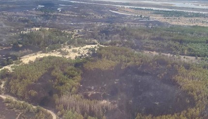 Пожар в Чернобыльской зоне: как выглядят сгоревшие леса сейчас с высоты птичьего полета