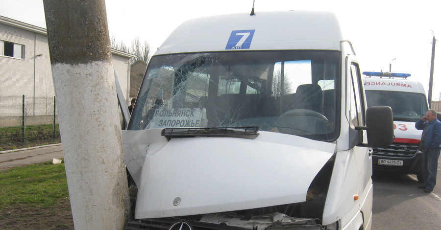 В Запорожской области из-за рассеянного водителя пострадали 11 пассажиров
