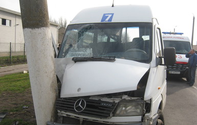 В Запорожской области из-за рассеянного водителя пострадали 11 пассажиров
