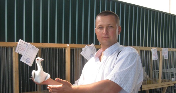 На Западной Украине открыли охоту на заводчиков голубей?