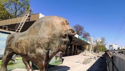 Ремонт в Киевском зоопарке