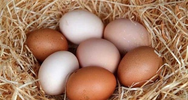 В Киев на два дня привезут недорогие яйца и мясо к Пасхе