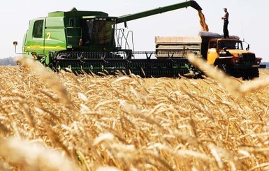 До конца года Украина продаст больше ста сельхозпредприятий