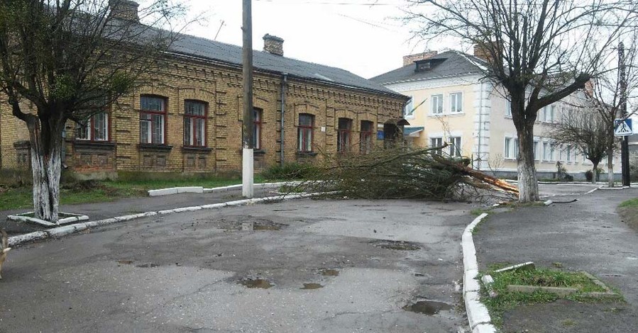 Во Львове падали деревья, а в Хмельницком пронеслась песчаная буря
