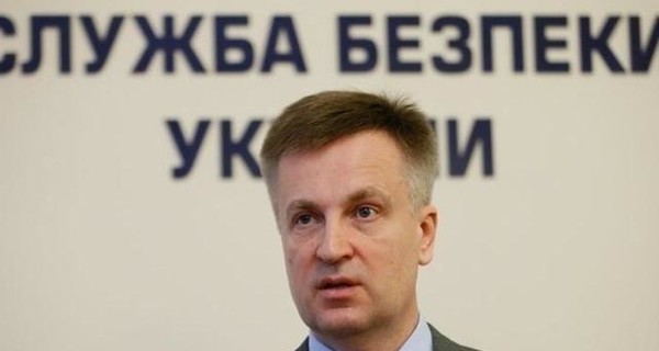 Декларация Наливайченко: глава СБУ живет на одну зарплату