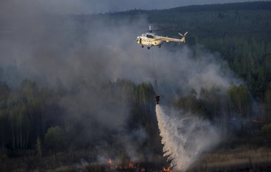 Пожар в Чернобыльской зоне остановили, но не потушили 