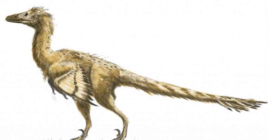 Мир Юрского периода: динозаврами станут куры