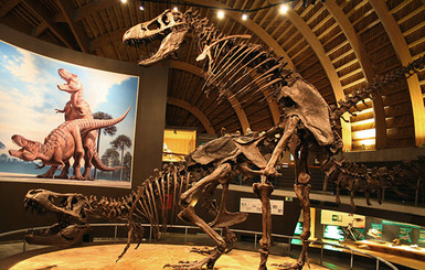 Ученые рассказали, как занимались сексом динозавры