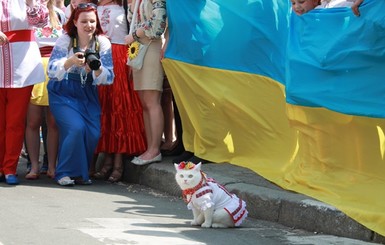 На марш в Киеве даже коты приходили в вышиванках