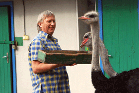 Владимир Горянский научился общаться со страусами 