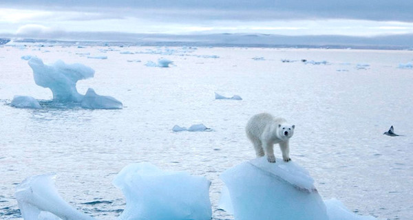 В Антарктике будут хранить лед со всего мира на случай таяния ледников