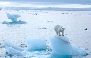 В Антарктике будут хранить лед со всего мира на случай таяния ледников