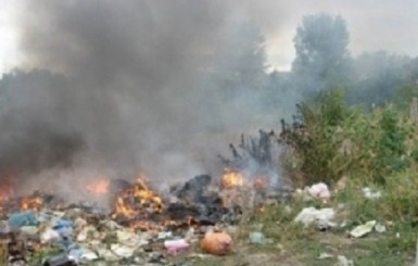 В Киеве около Лесного кладбища сутки тушат пожар