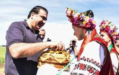 Саакашвили провел ревизию одесских полей