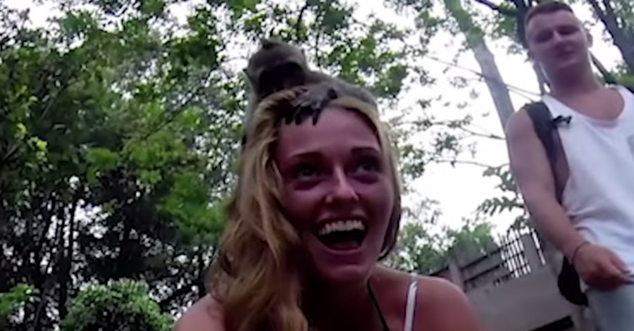 Сеть взорвал видеоролик с мартышкой, которая отобрала у туристов камеру и сделала селфи